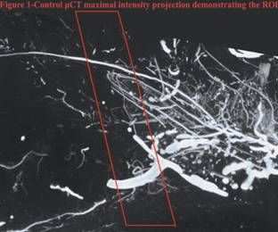 http://asps.confex.com/asps/2010am/cranio/papers/viewimage.cgi?image=0&RecordType=Paper&Recordid=18064&Hash=c54388e2c259afe1701d2174673ff278